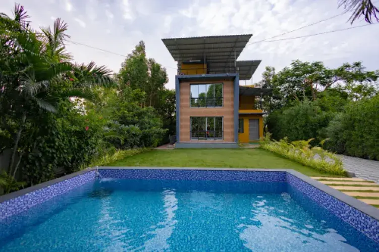 FH366 | Arista's Image