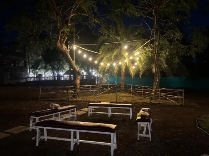 FH467 | Willow 5's Image