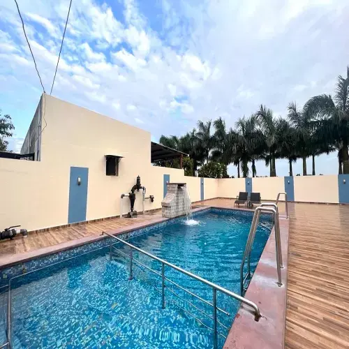 FH678 | Palm Aqua's Image