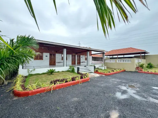 FH892 | Green leaf's Image