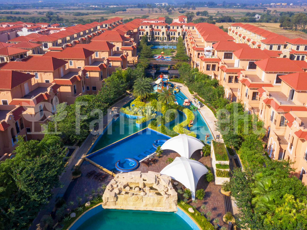 FH479 | Rajhans Feriado